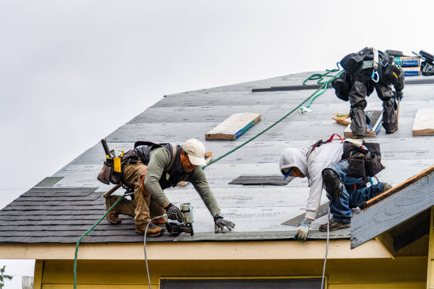 Professional Roofing technician working in Barton, OH